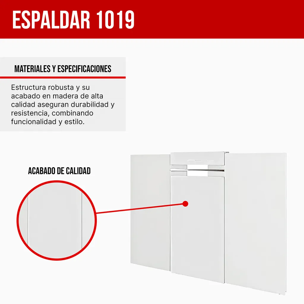 2. CABECERA 1019 BLANCO.webp